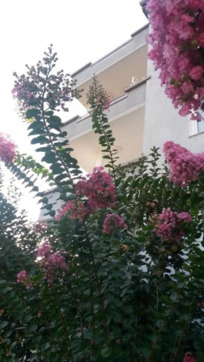  Family Hotel May  Петрич